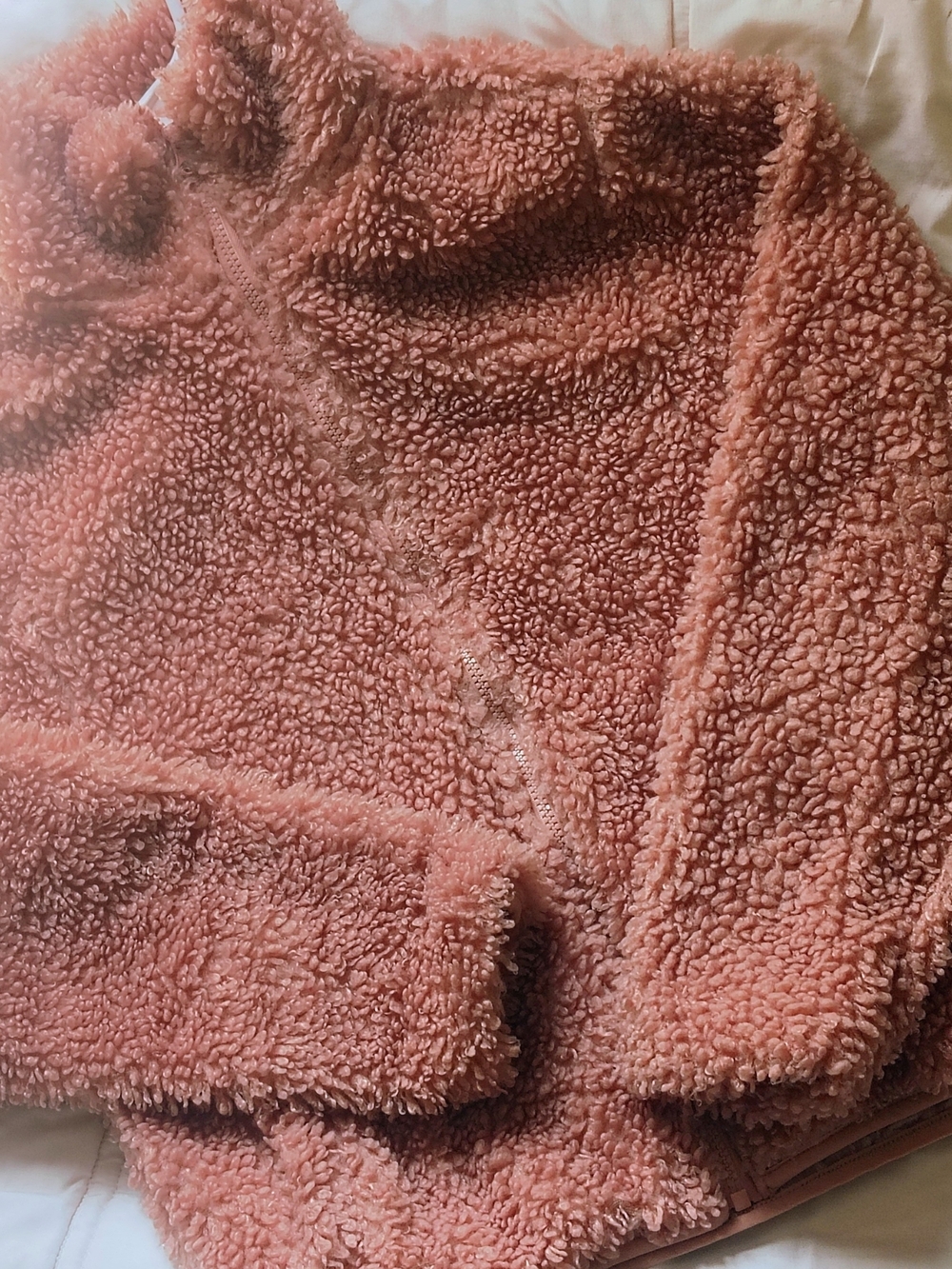 Cozy Plush Sherpa Zip Jacket in Dusty Rose